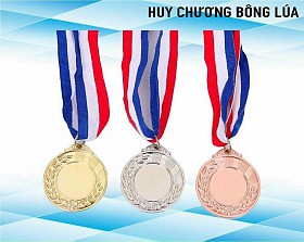 Huy hương 01